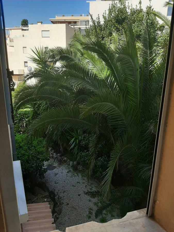 L'olivier - Piscine & Parking